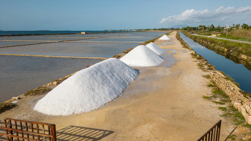 Scopri la Riserva Naturale Oasi WWF Saline di Trapani e Paceco, Sicilia