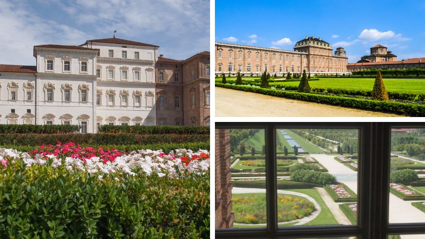 Roseti in Italia 2026: Dove Vedere le Rose più Belle: Reggia Venaria Reale