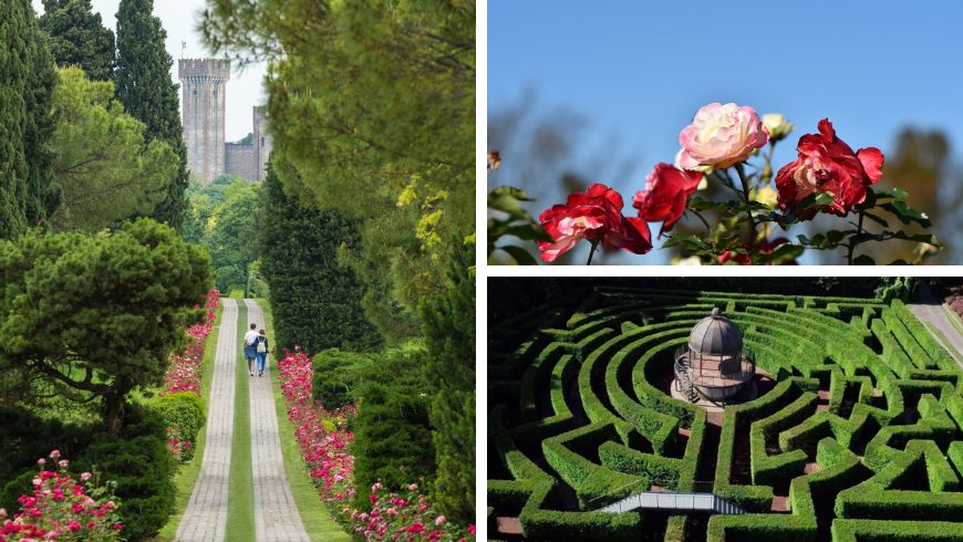 Parco Sigurtà: viale delle rose, rose e labirinto