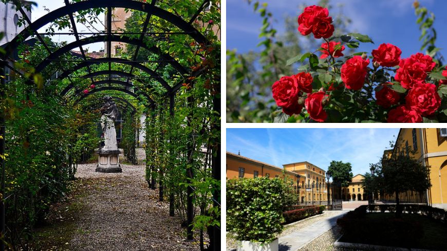 Orto Botanico dell’Università di Pavia: pergolato e rose
