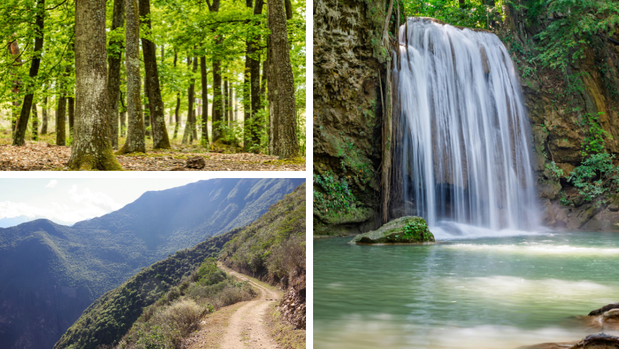 sentieri e foreste di querce e cascate
