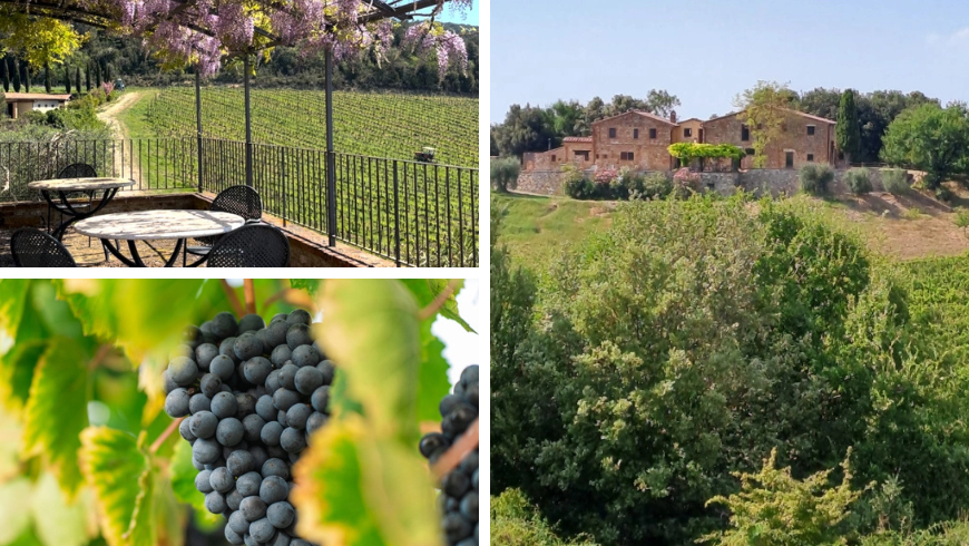 Podere Sole, agriturismo biologico immerso nella natura della Valdichiana Senese