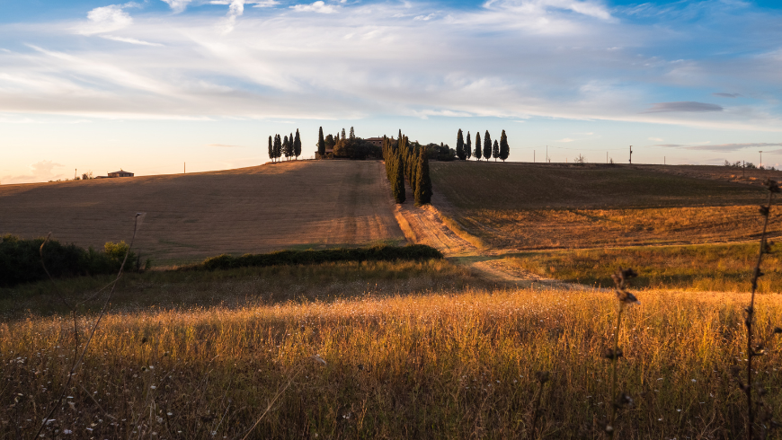 Paesaggio di villa Poggio Manzuoli 