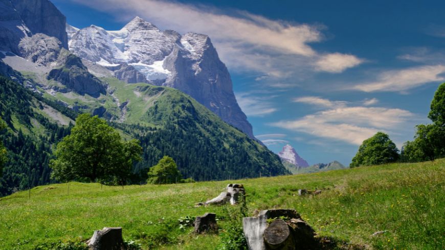 alpi apuane, paesaggio naturale, prato verde e vette innevate