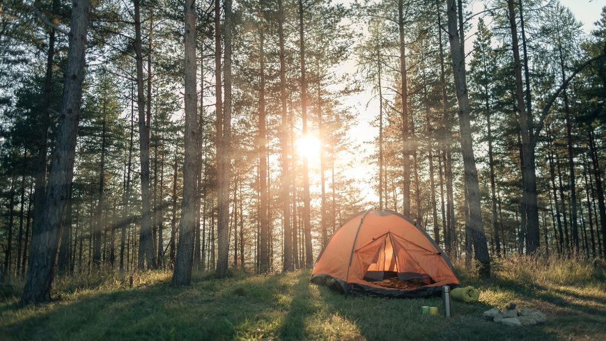 Rispettare la natura in campeggio