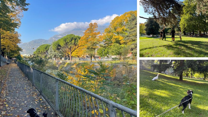 Rovereto gratuita all’aperto: passeggiata lungo il Torrente Leno, parchi cittadini e aree gioco per famiglie.
