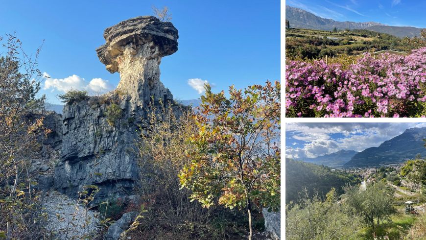 Fungo di Albaredo sul Monte Zugna vicino a Rovereto, una formazione rocciosa circondata da boschi e paesaggi naturali della Vallagarina.