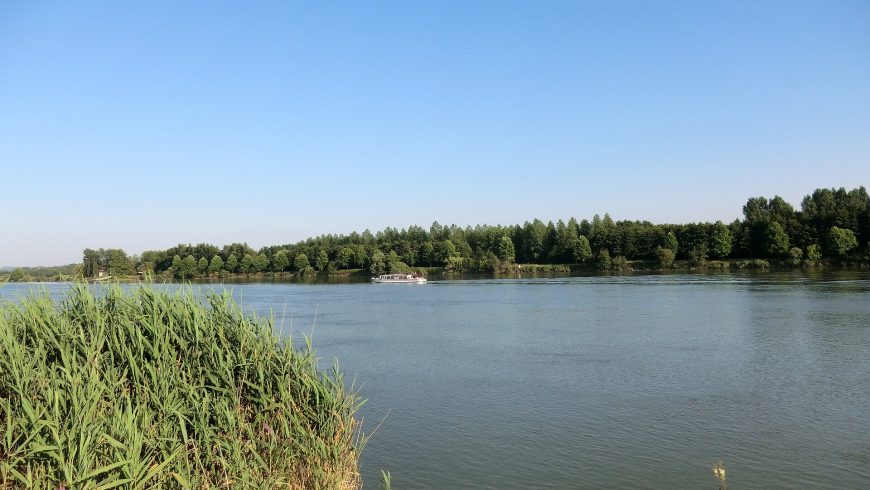 Il fiume Adour a Saint-Martin-de-Seignanx, tra paesaggio fluviale e natura del Seignanx