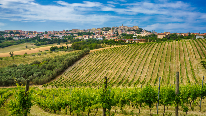Vista su Camerano, famosa per le sue grotte