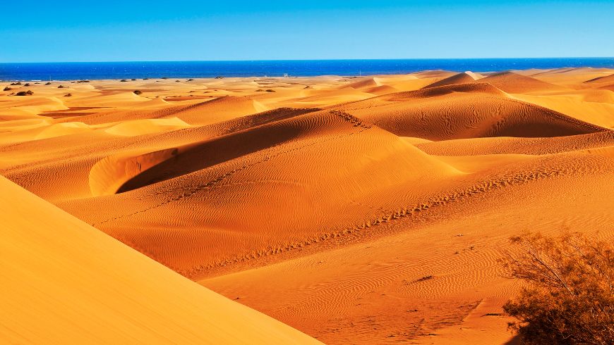 Dune di sabbia dorata di Maspalomas con vegetazione e oceano sullo sfondo