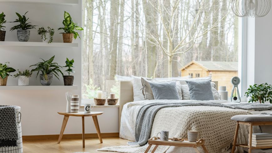 Piante verdi in un ambiente domestico