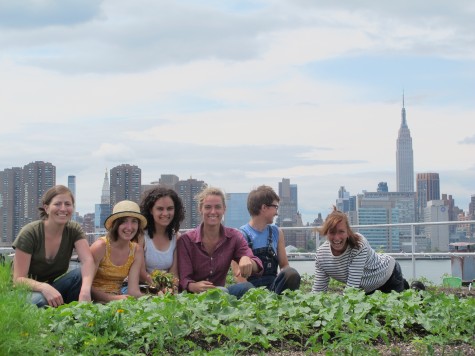 Rooftop farm, New York, via rooftopfarms.org
