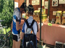 Cyclists pausing at a kiosk