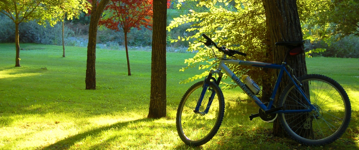 5 new eco-friendly uses of a bike - Ecobnb