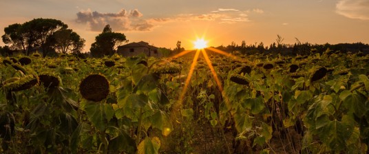 Alberghi diffusi, ecofriendly stay in Italy