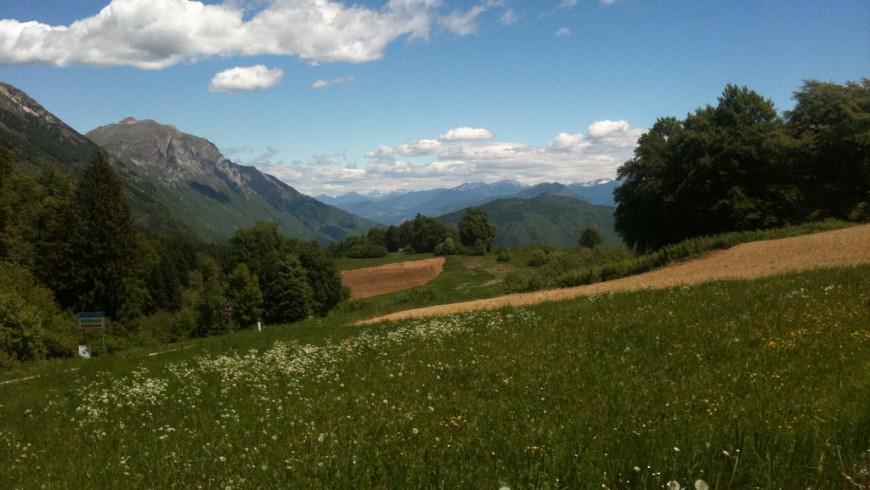 A view of Gresta Valley in Trentino: mountains, trees, blue sky and flowers