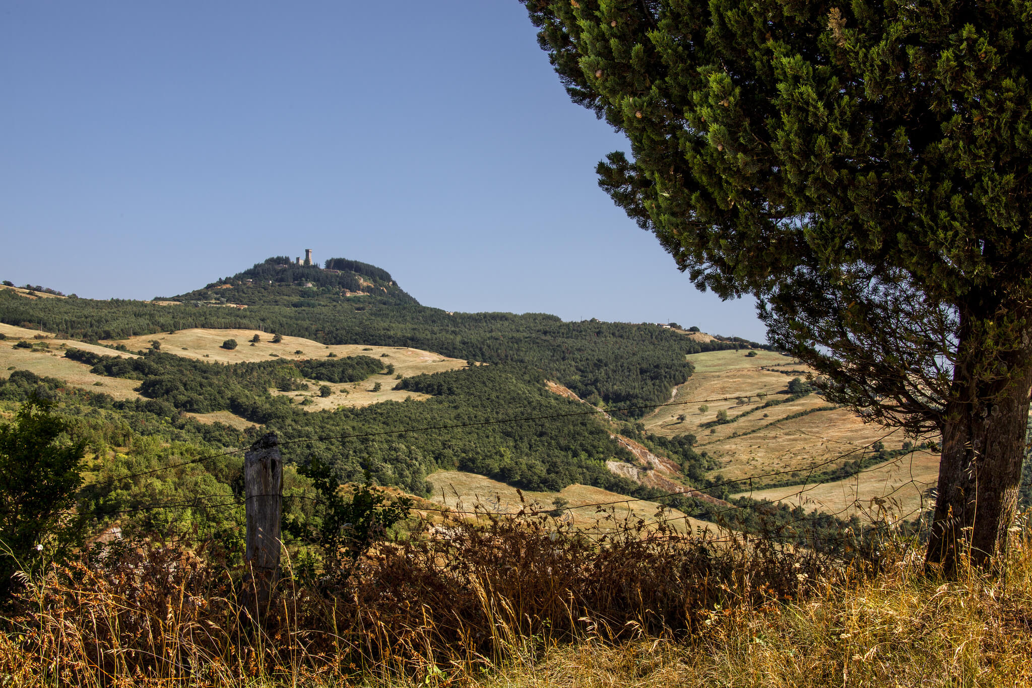 A hill landscape of Tuscany, where woods and fields alternate. At the bottom, on the left there is the hill where Radicofani rises