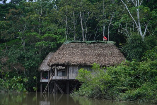 Hut on the river of the Amazon rainforest