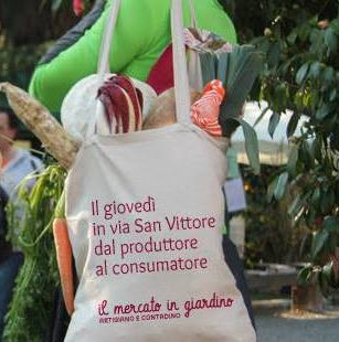 Organic shopping bag