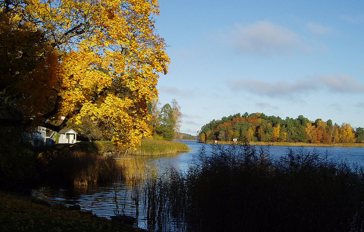 Lake Edsviken