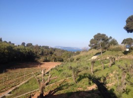 La Navicella Winery, Port Cros Park