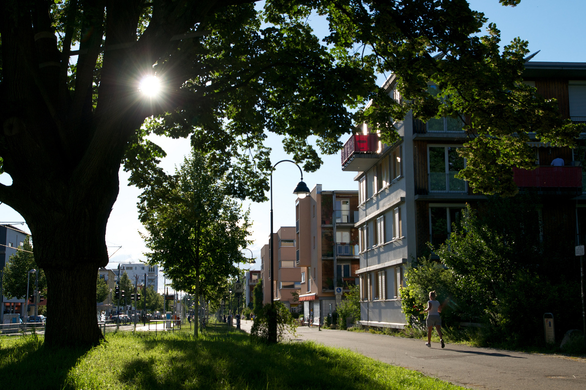 Vauban, Friburgo, Germany city without cars