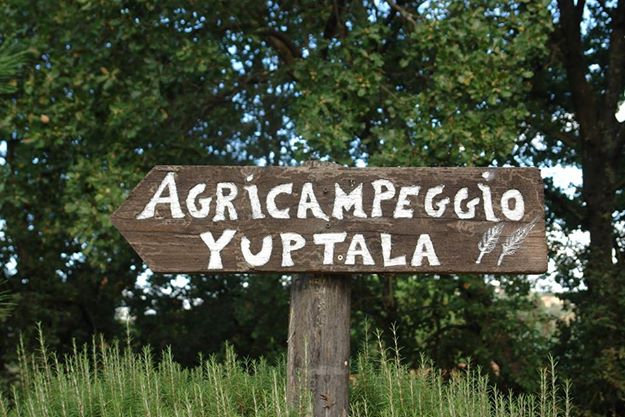 Agricampeggio Yuptala at Terricciola near Pisa