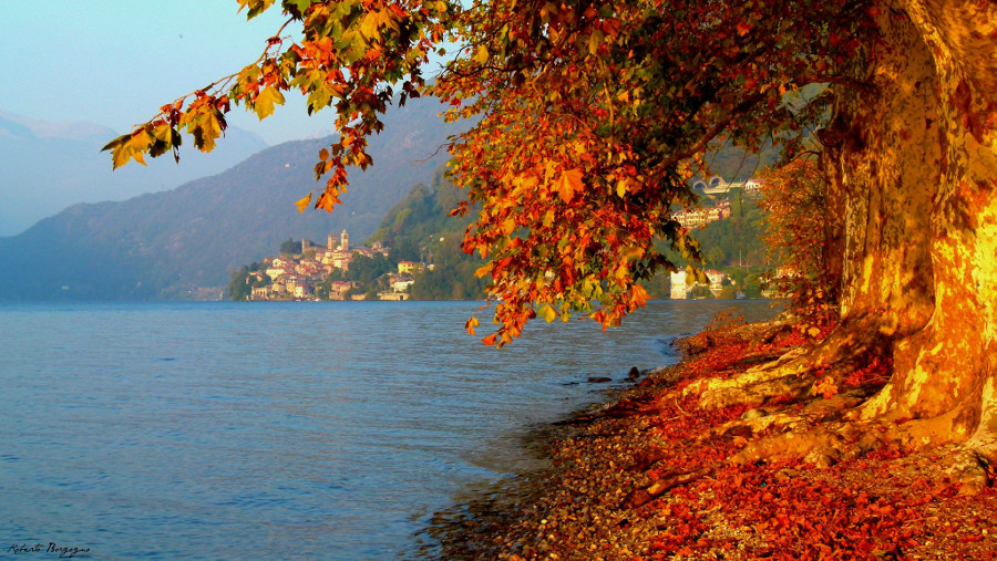 Foliage and Autumn on Como Lake, Italy