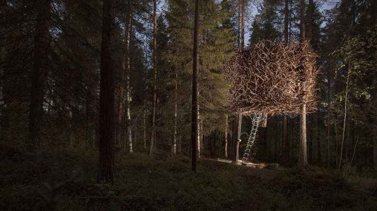 Strangest hotel in the world: Treehotel