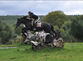 Horseback holiday in The Three Towers Eco House & Organic Kitchen, the perfect place where to stay in Ireland