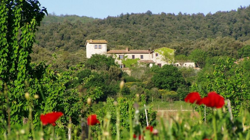 Farmhouse Torre Doganiera, the perfect place to sleep during your journey among Sienese hills