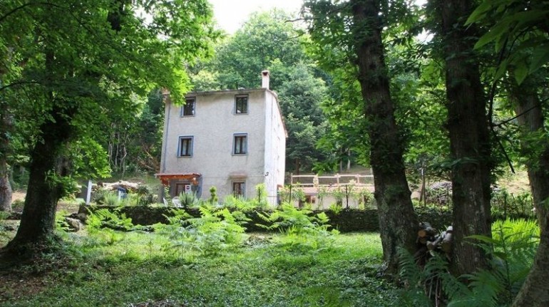 La casina nel bosco, and eco-firneldy accommodation in Tuscany perfect for walking in the woods