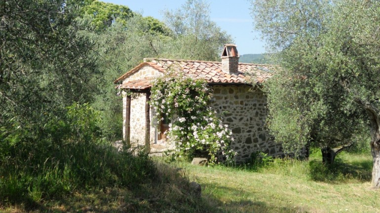 B&B in Tuscany