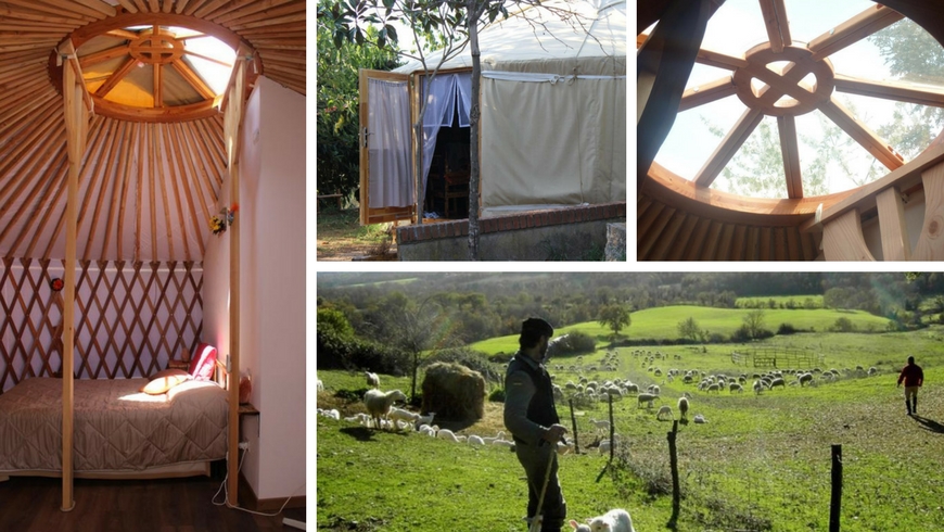 Unusual accommodations: a yurt in Maremma, Pietra Serena agritourism
