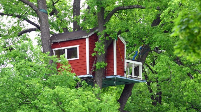 Hotels Hackspett, tree houses in Sweden