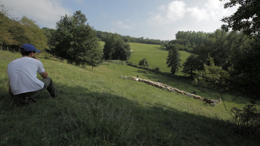 I Pascoli di Amaltea, Langhe