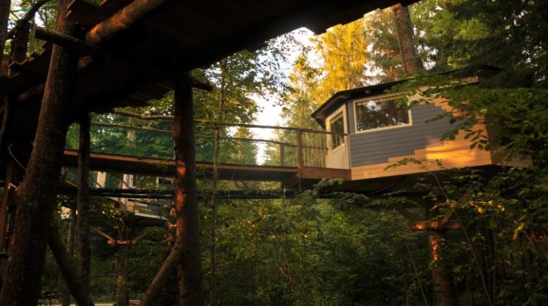 Les Nids, tree houses in Switzerland