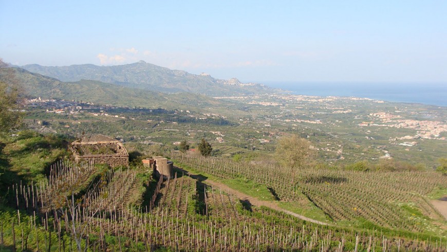 The view from Bagolarea farmhouse