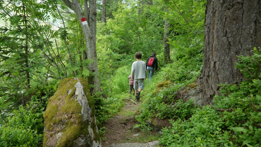Hiking itinerary in the woods