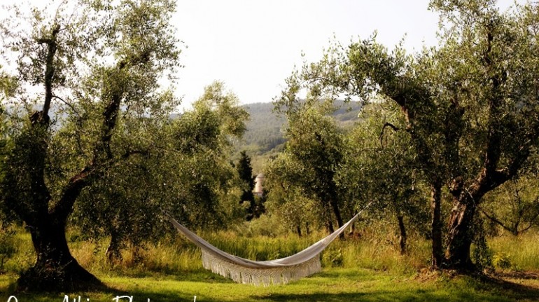 Among the olive trees: 10 B&B for a weekend of autumn in Italy