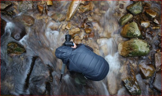 A photographer in a creek