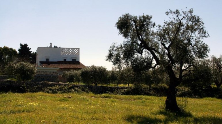 Among the olive trees: 10 B&B for a weekend of autumn in Italy