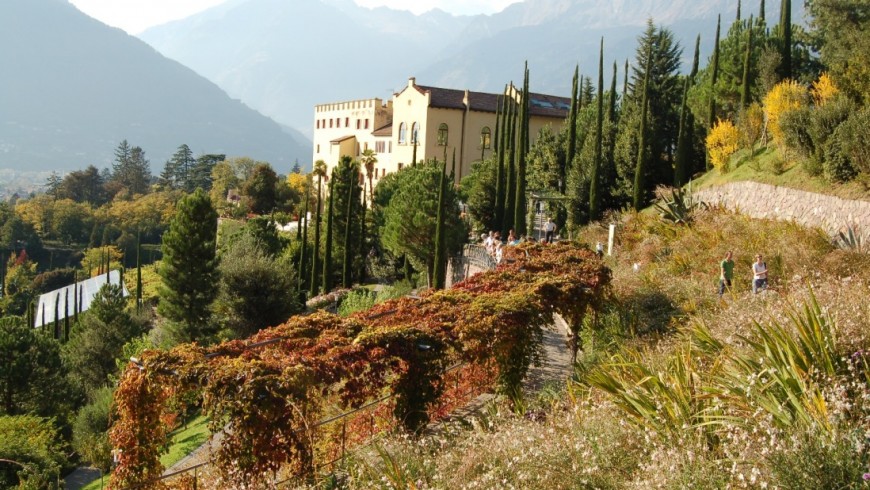 Foliage in The gardens of Trauttmansdorff Castle, South Tyrol