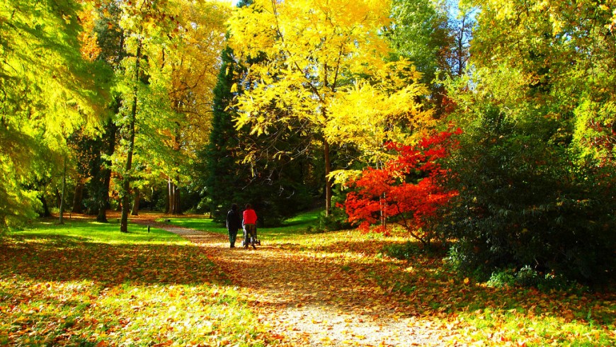 Fall foliage in France