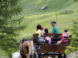 horse-drawn carriage tour from Plan to the ancient farms