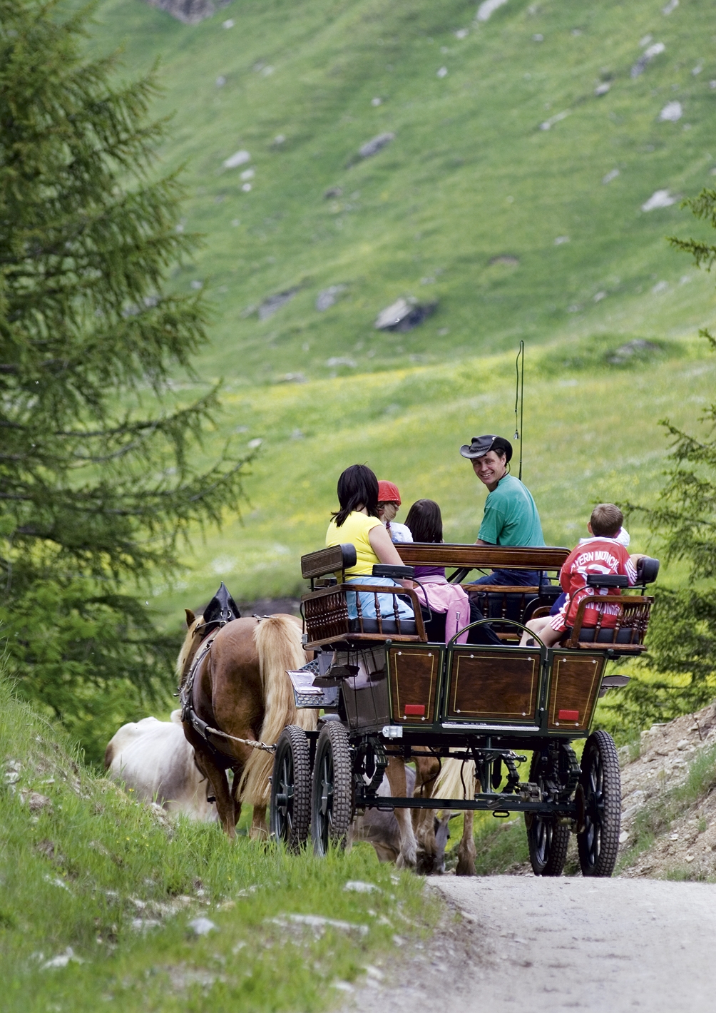 horse-drawn carriage tour from Plan to the ancient farms
