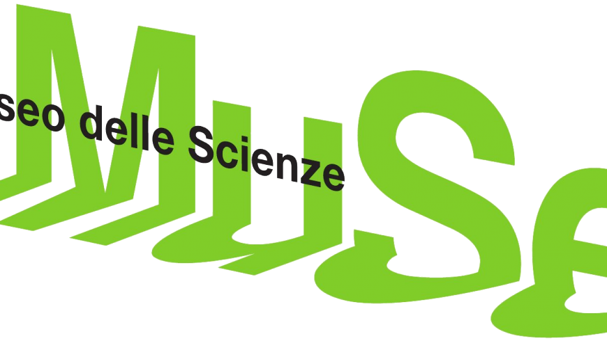 logo_MUSE_verde_nospace