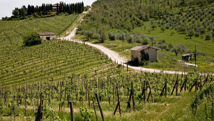 Country holidays in Tuscany