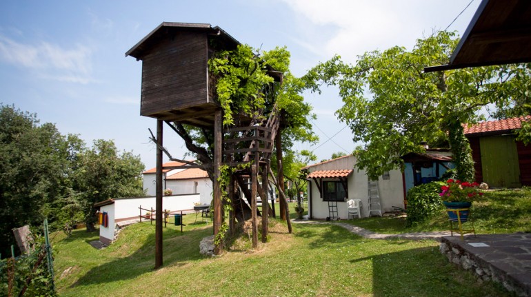 Romantic weekend in a tree-house