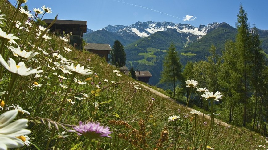Green travel to Ahrntal: 7 thing you can’t miss in the northernmost paradise of Italy